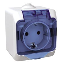 Розетка із заземленням та шторками Schneider Electric із прозорою кришкою Cedar Plus, біла