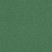 Линолеум спортивный Grabo GraboFlex Start зеленый 2м